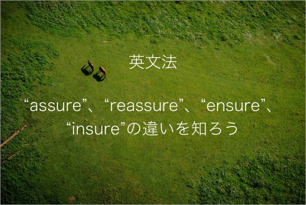 Blog Article Thumbnail